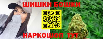 сатива Можга