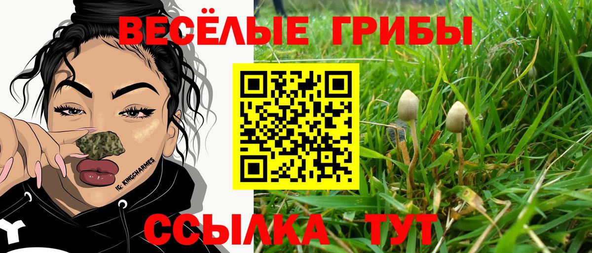 даркнет сайт  Псилоцибиновые грибы Magic Shrooms  Галлюциногенные грибы Magic Shrooms  Вход с VPN  Хабаровск 